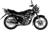 2008 Dayang DY125-13.34.1 photo